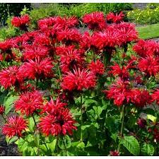 Без названия (2)