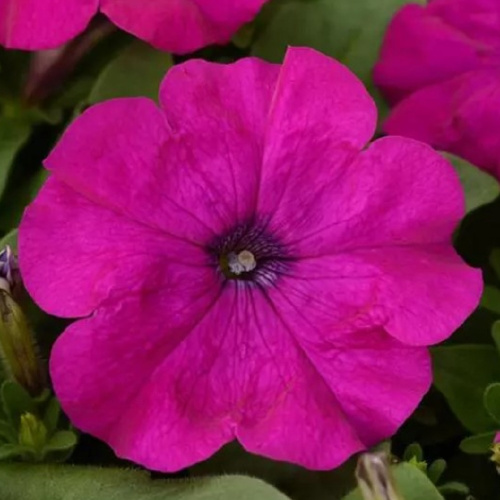 v21c0ev3vcsilup80u1cpque66whhm5x