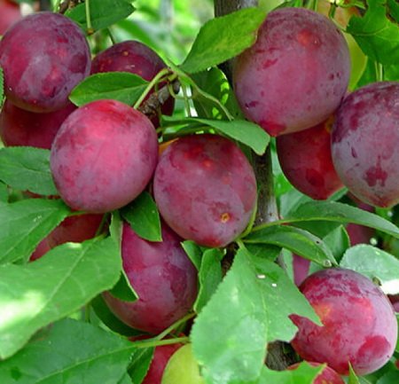 3264fc2a-fecf-11e8-aea0-902b344498c0_3264fc2c-fecf-11e8-aea0-902b344498c0