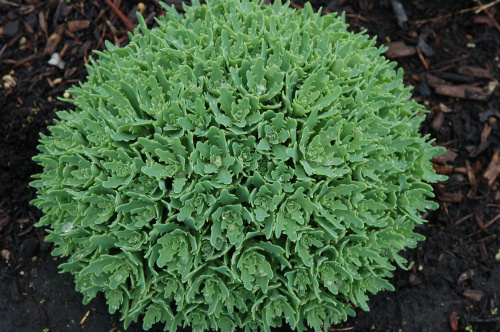 kppxzqjp4zmcy3s9fpm1elgi7it0wuae