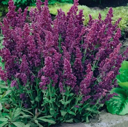 photo_5418356017525287858_x