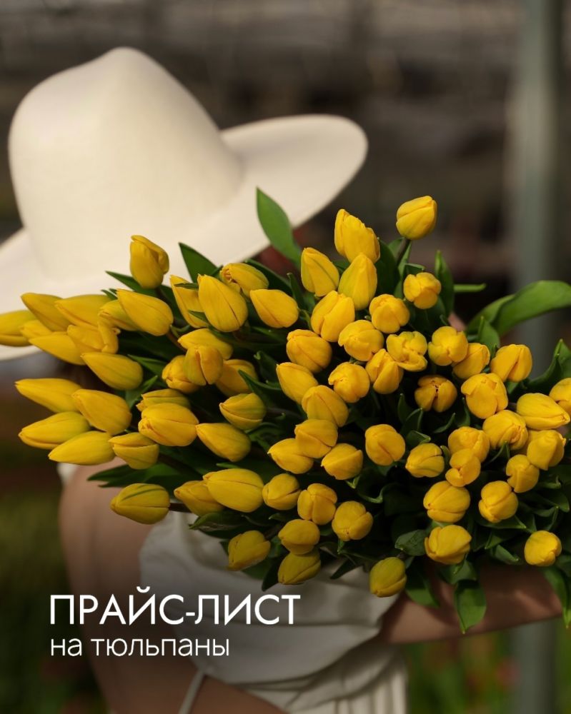 Питомник «СибГарден» представляет обновлённый прайс-лист на тюльпаны сезона 2025/2026🌷