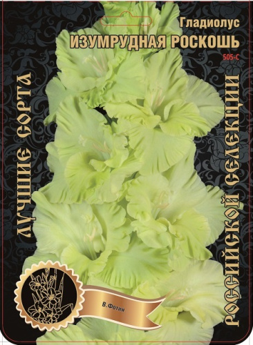 g1txd468gpoopx18f221ptkzqvqqq9yx