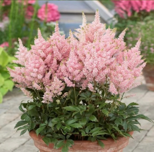 6f6e22d2-7044-43ca-a26f-9c3e9ed97564