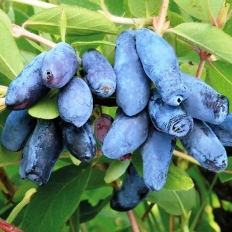 b6db1bf3_50e1_11e7_a45c_00259005a1ff_3e35f29d_5182_11e7_a45c_00259005a1ff