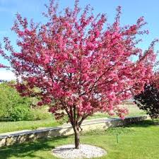 Без названия (1)