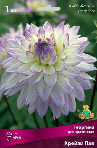 r1cfg8bbwi3qdop3m3zaso0hzwmdc6v3