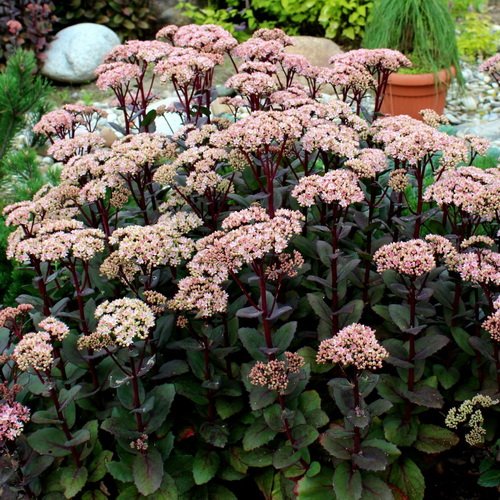 362fcd71-a180-11e6-84da-902b344498c0_362fcd73-a180-11e6-84da-902b344498c0