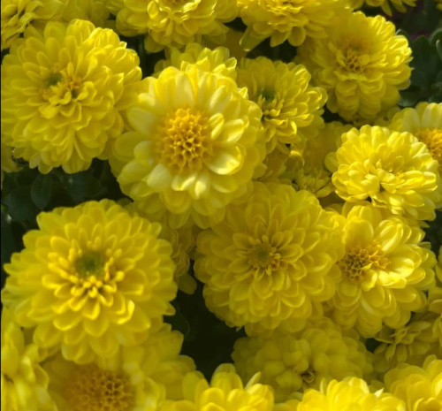 photo_2024-12-10_16-13-00