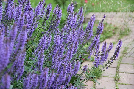 7e4f9c4cae4ffdd5e72fb1bc146f74cf