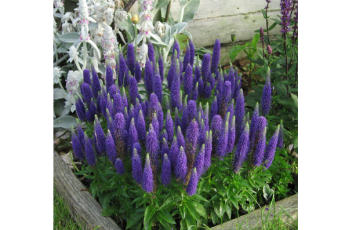 eccc82xv5s5zxxvd02ow7yx1vxu6kzef