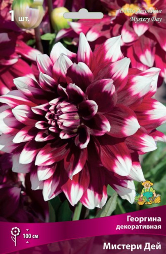 l2x8mxo529o3izz4revnxec1neuv7gw6