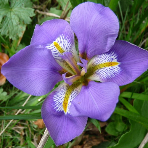 full_banish_misfortune