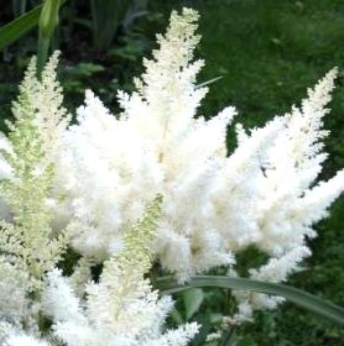 4ko0am02ousew42op0ax3cqg3zsk3ukh