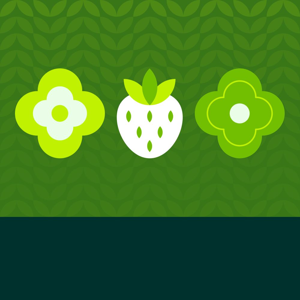 Скидка 20% на однолетнюю рассаду цветов и землянику