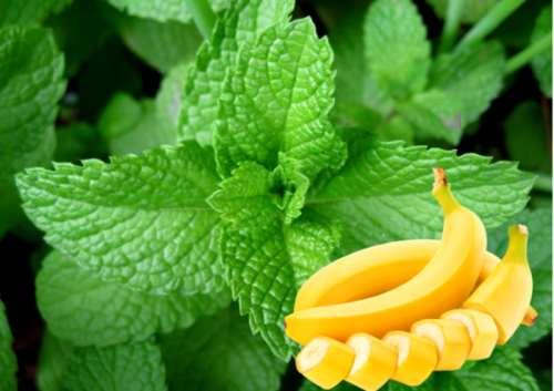 myata-bananovaya_1644250472