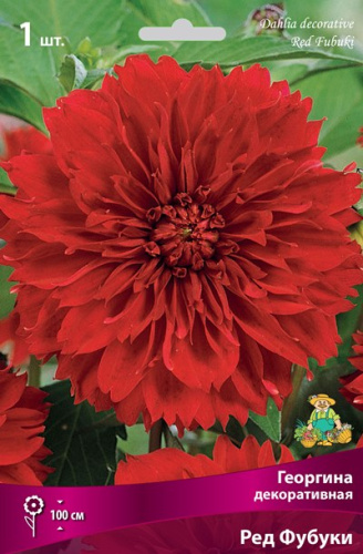 yo412px2d1j60rst3pt2q71uiwp2c5cs