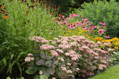 bkbfri9u5yupwjjhp0trkyf6lwrzmwp0