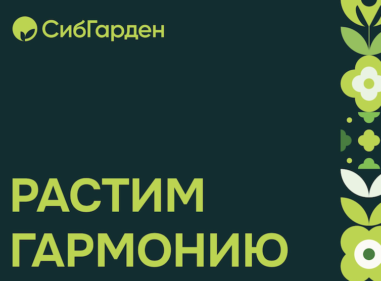 Лицевая сторона сертификата - вариант 1