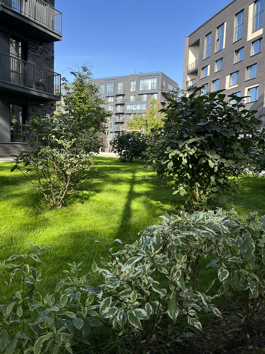 Озеленение жилого комплекса «Флора и Фауна»